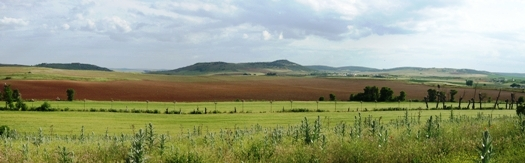 EL Primillar